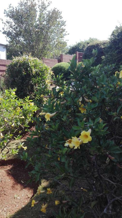 Hamba Kancane Ma-Africa Guest House Graskop Bagian luar foto